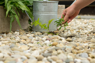 Utilisation d’un désherbeur à gaz avec cartouche butane