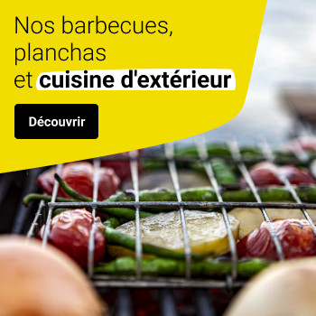 Nos barbecues et planchas