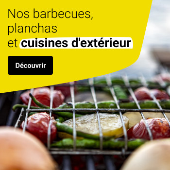 Nos barbecues et planchas