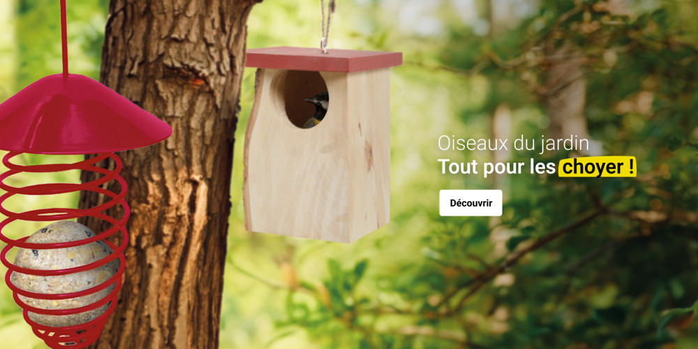 WEB 2420 - Oiseaux du jardin