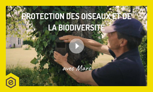 Protection des oiseaux et de la biodiversité avec Marc