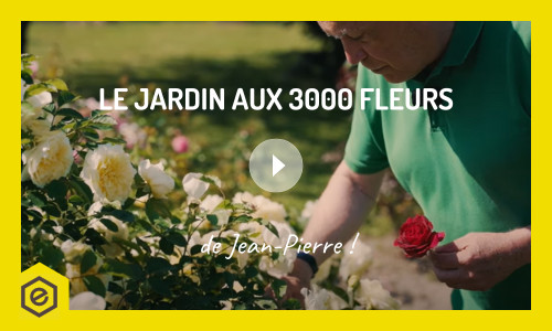 Découvrez le jardin aux 3000 fleurs de Jean-Pierre !