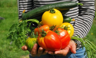 Comment bien faire pousser ses cultures et entretenir son potager toute l'année ?