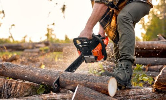 Comment bien choisir sa tronçonneuse et pour quels types de coupe d'arbre l'utiliser ?
