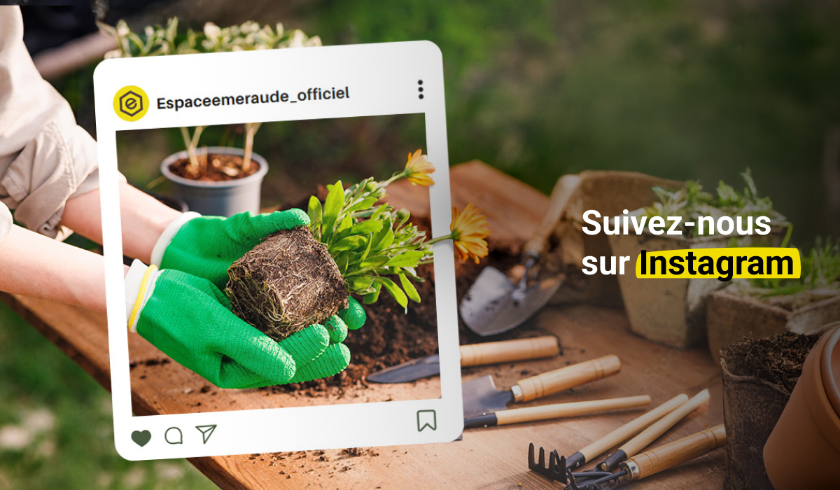 Suivez-nous sur Instagram